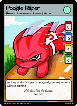 Poogle Racer